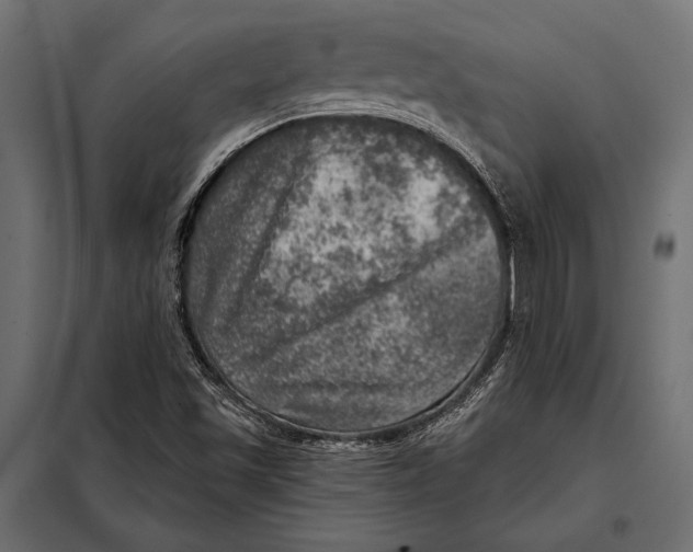 X0000098071501200804251426