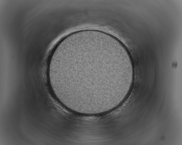 X0000098071502200804251426