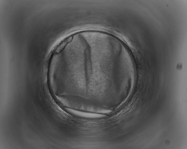 X0000098071504200804251426