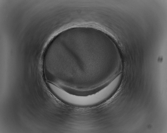 X0000098071506200804251426