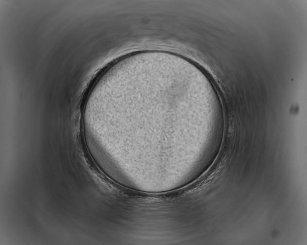 X0000098071507200804251426