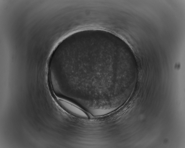 X0000098071508200804251426