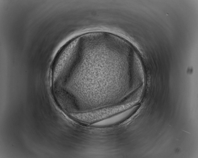 X0000098071510200804251426