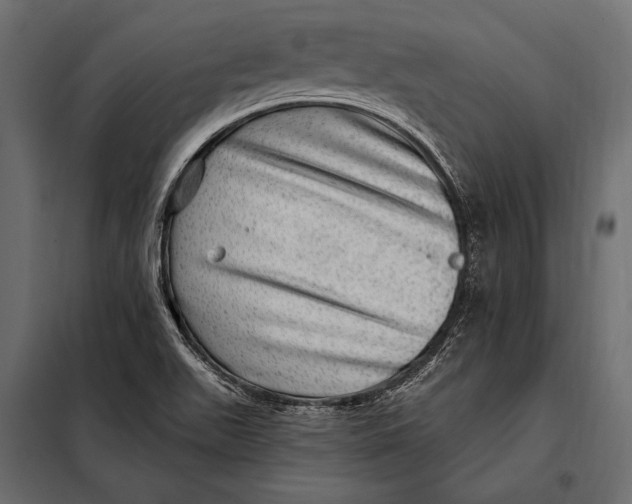 X0000098071511200804251426