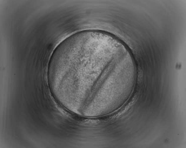 X0000098071513200804251426