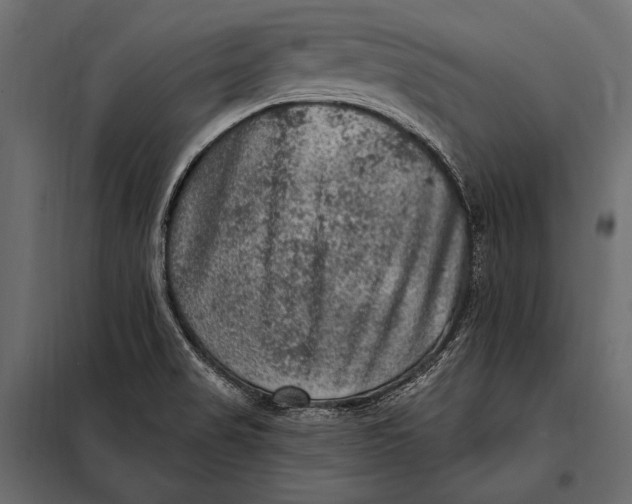 X0000098071517200804251426