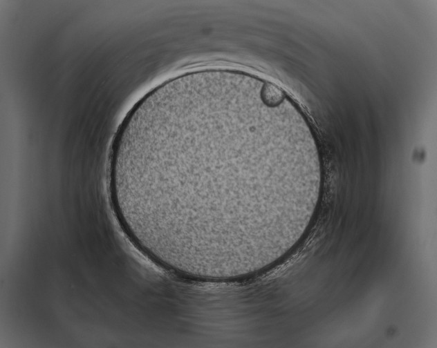 X0000098071518200804251426