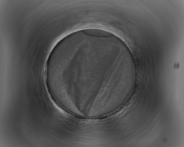 X0000098071519200804251426