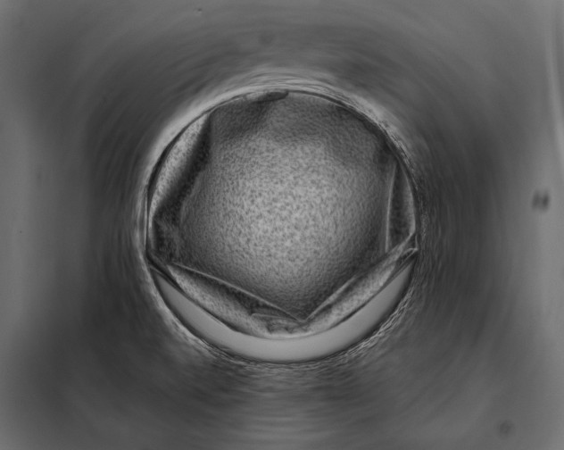 X0000098071520200804251426