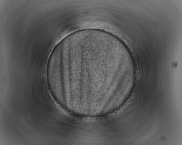 X0000098071521200804251426