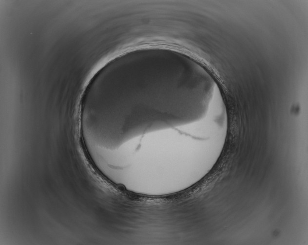 X0000098071522200804251426