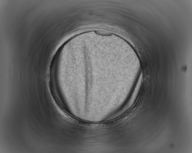 X0000098071523200804251426