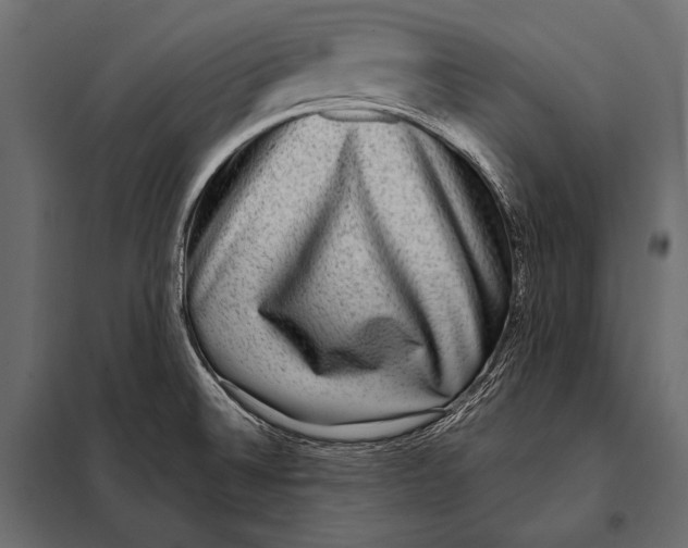 X0000098071524200804251426