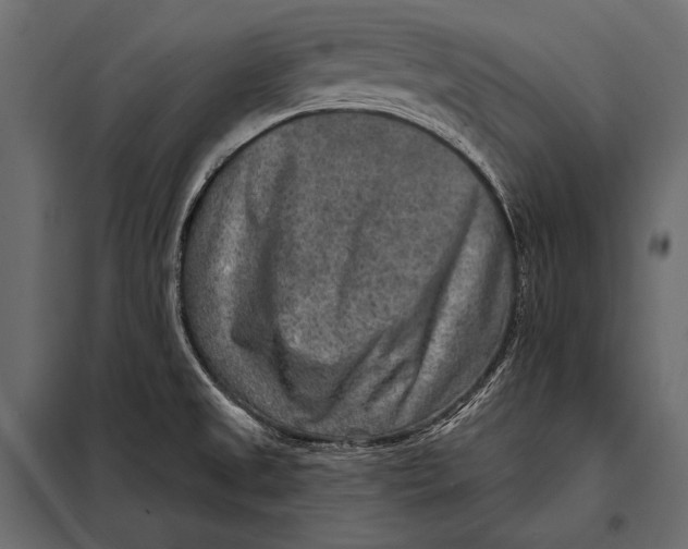 X0000098071525200804251426