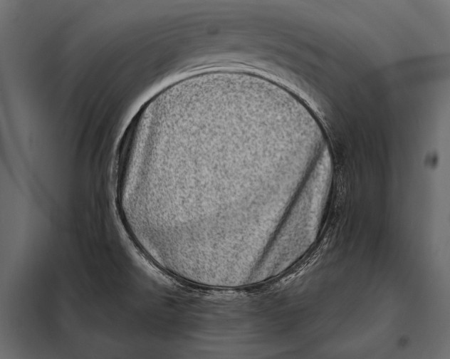 X0000098071526200804251426