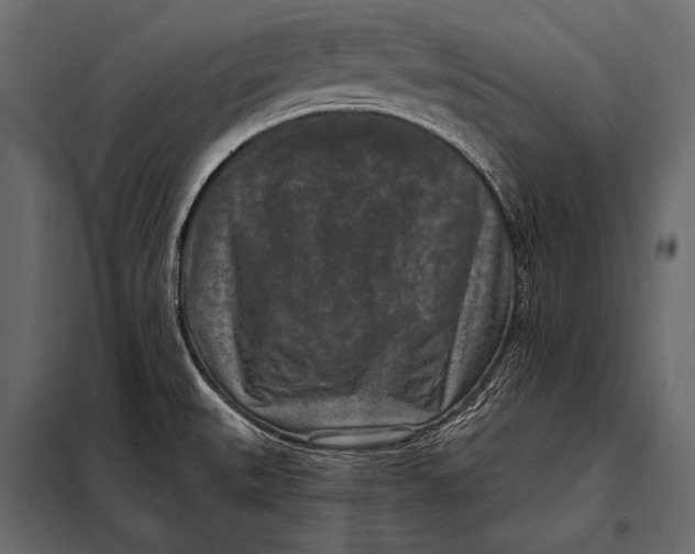 X0000098071527200804251426