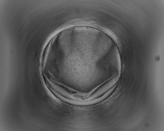 X0000098071528200804251426