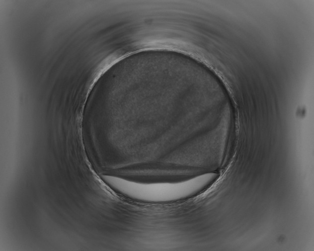 X0000098071529200804251426