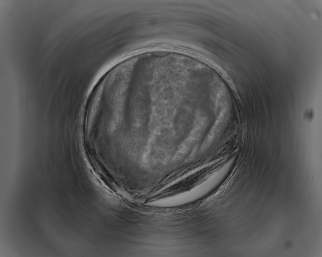 X0000098071530200804251426