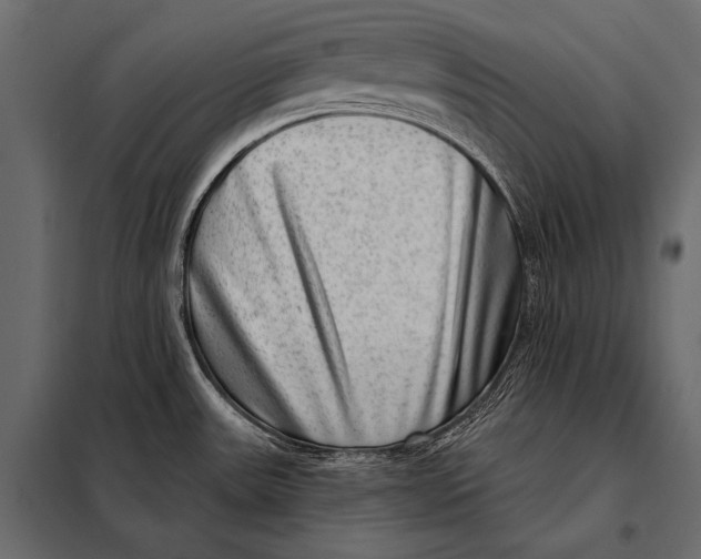 X0000098071531200804251426