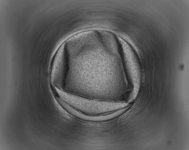 X0000098071532200804251426