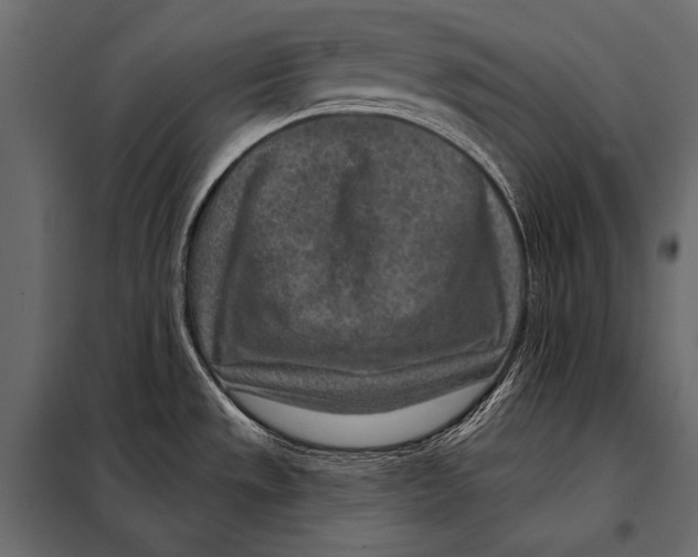 X0000098071533200804251426