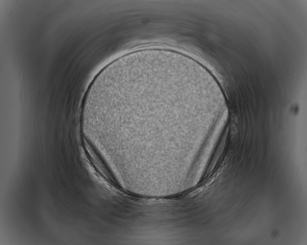 X0000098071534200804251426