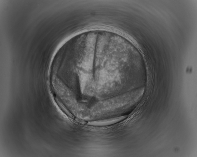 X0000098071536200804251426