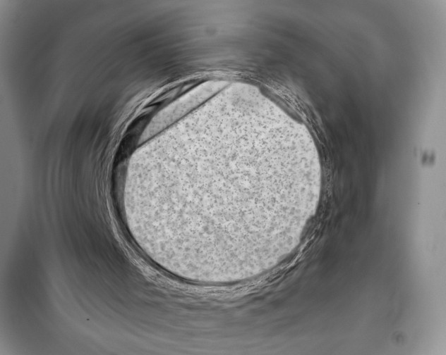 X0000098070001200805021009