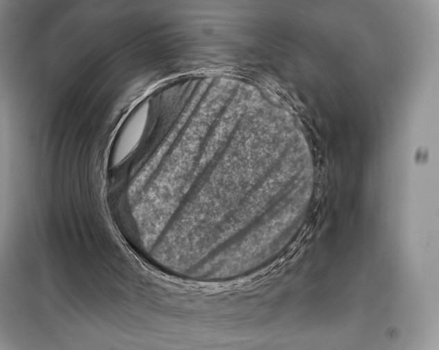 X0000098070002200805021009