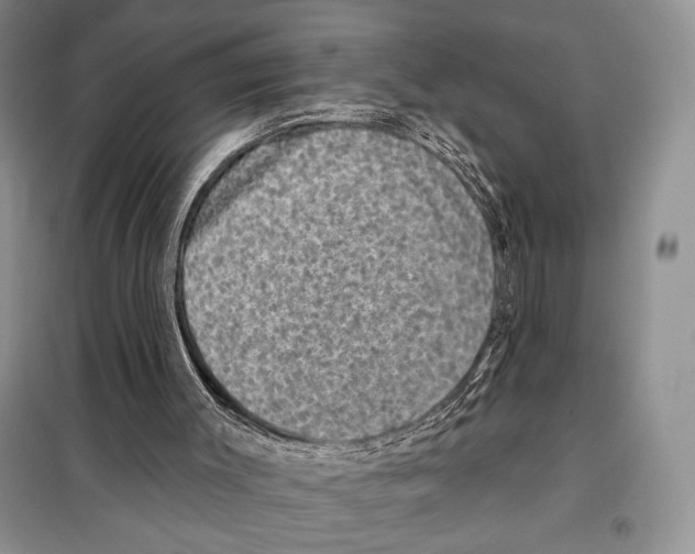 X0000098070003200805021009