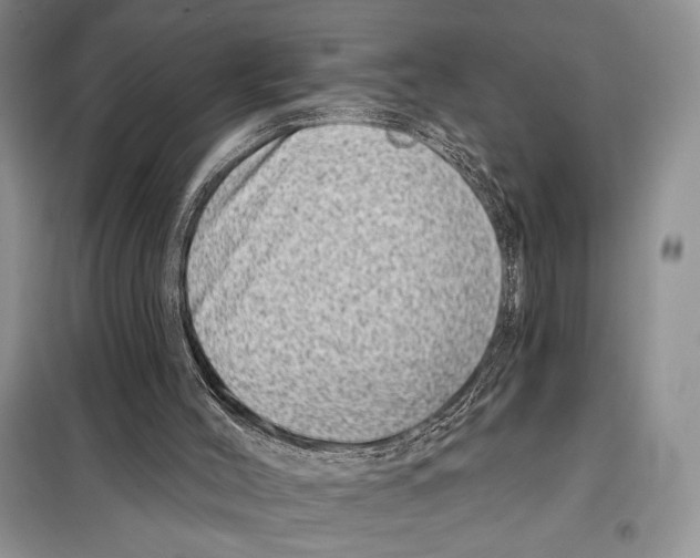 X0000098070004200805021009