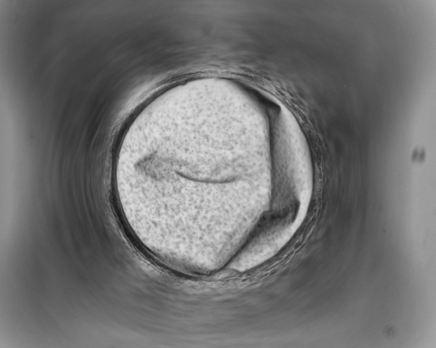 X0000098070005200805021009