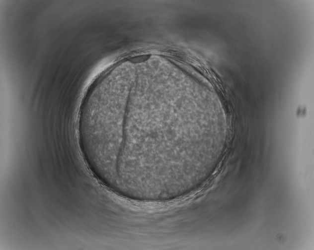 X0000098070006200805021009