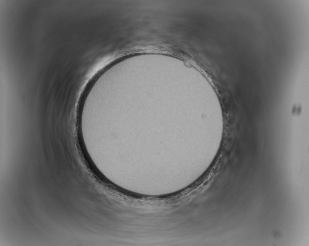 X0000098070008200805021009