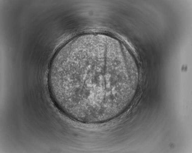 X0000098070010200805021009