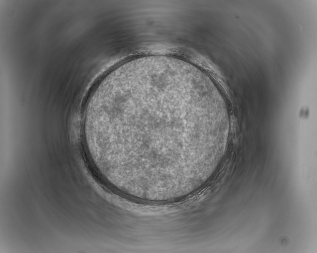 X0000098070012200805021009