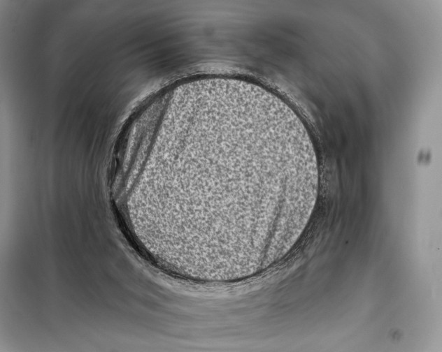 X0000098070015200805021008