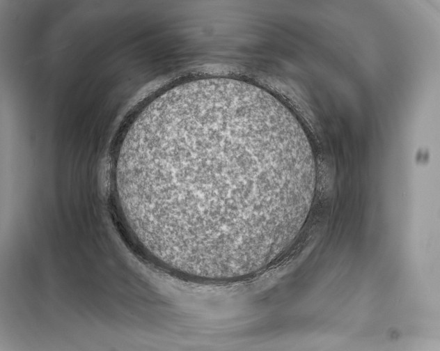 X0000098070016200805021008