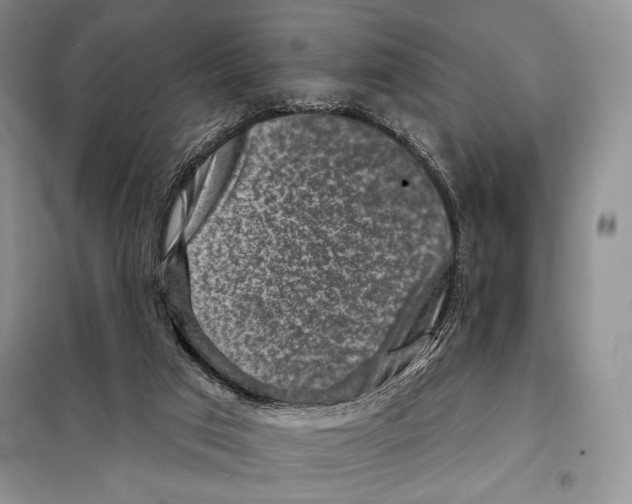 X0000098070017200805021008