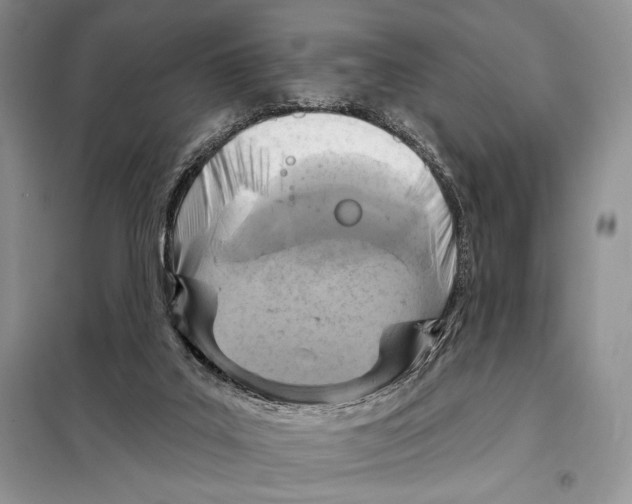 X0000098070019200805021008