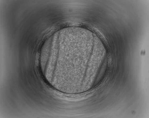 X0000098070026200805021008