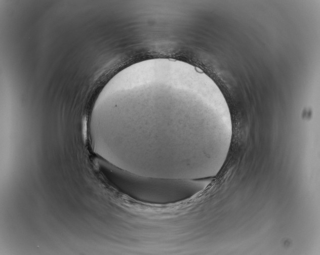 X0000098070027200805021008