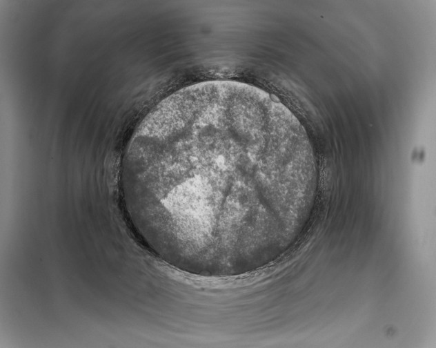 X0000098070030200805021008