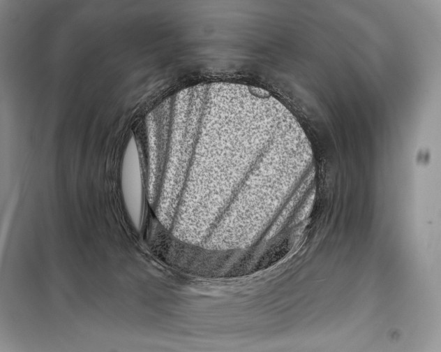 X0000098070033200805021008