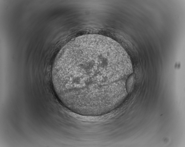 X0000098070034200805021008