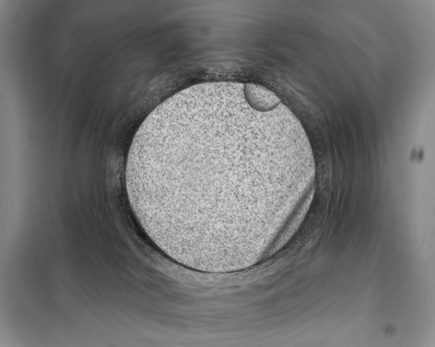 X0000098070038200805021008