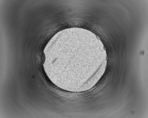 X0000098070040200805021008