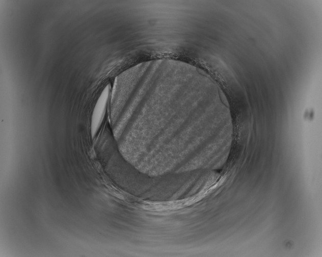 X0000098070041200805021008