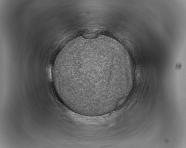 X0000098070042200805021008